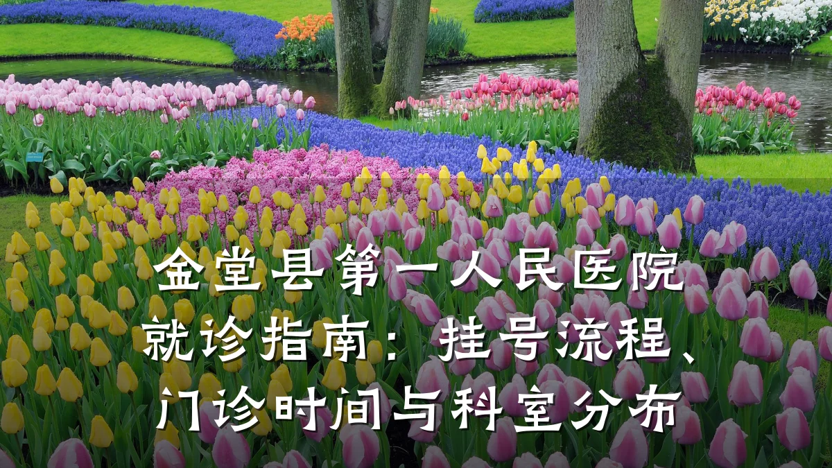 金堂县第一人民医院就诊指南：挂号流程、门诊时间与科室分布