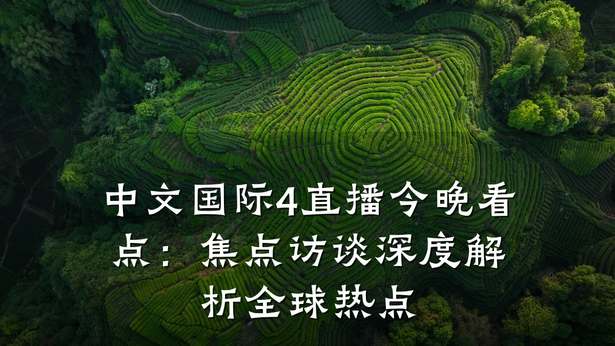 中文国际4直播今晚看点:焦点访谈深度解析全球热点