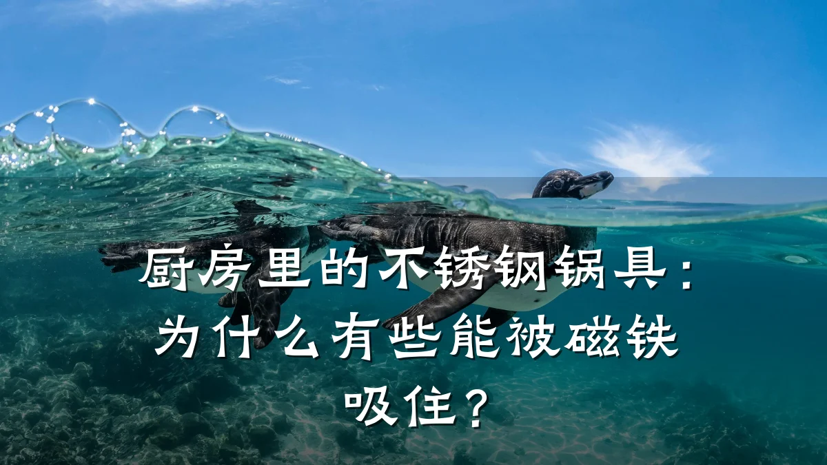 厨房里的不锈钢锅具：为什么有些能被磁铁吸住？