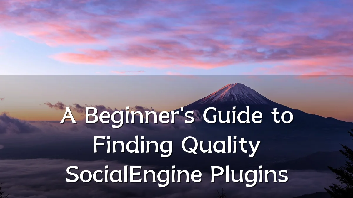 A Beginner's Guide to Finding Quality SocialEngine Plugins