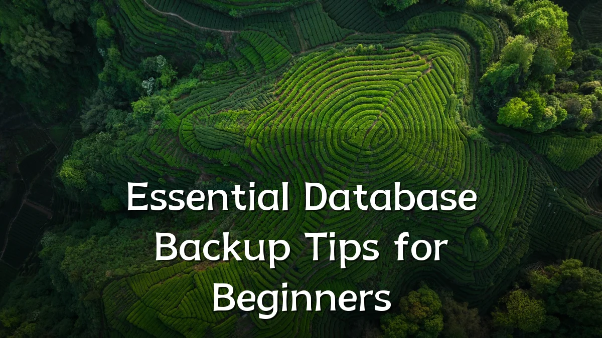 Essential Database Backup Tips for Beginners