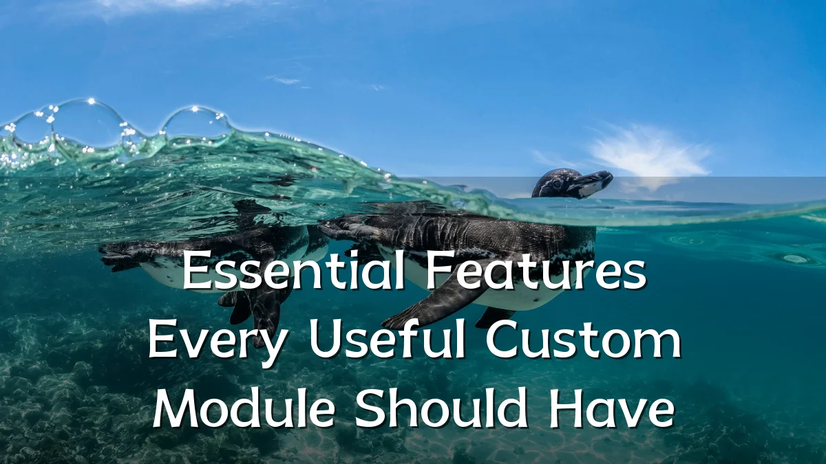 Essential Features Every Useful Custom Module Should Have