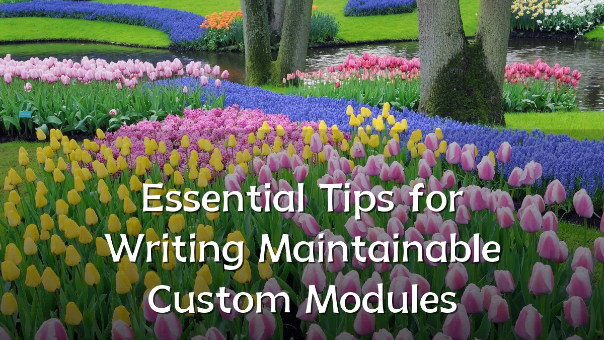 Essential Tips for Writing Maintainable Custom Modules