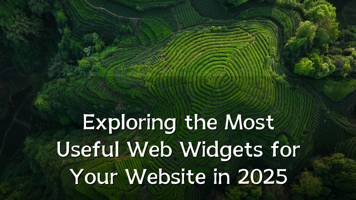 Exploring the Most Useful Web Widgets for Your Website in 2025