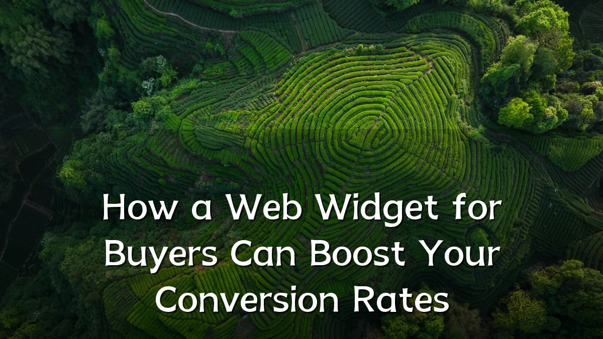 How a Web Widget for Buyers Can Boost Your Conversion Rates