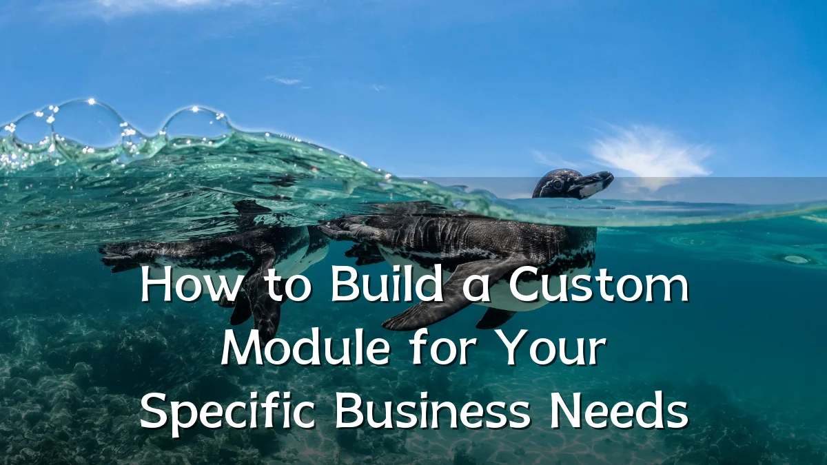 How to Build a Custom Module for Your Specific Business Needs