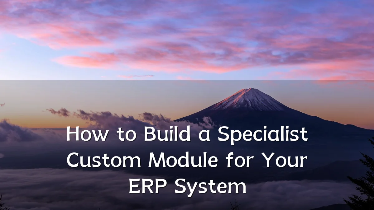 How to Build a Specialist Custom Module for Your ERP System