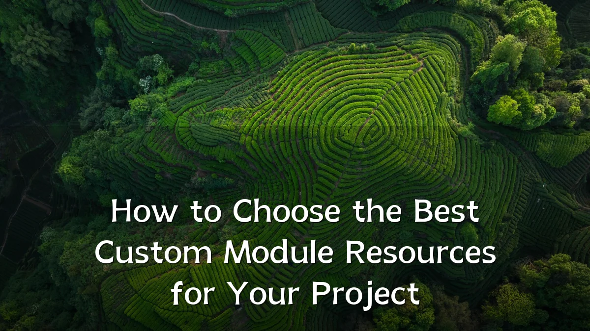 How to Choose the Best Custom Module Resources for Your Project