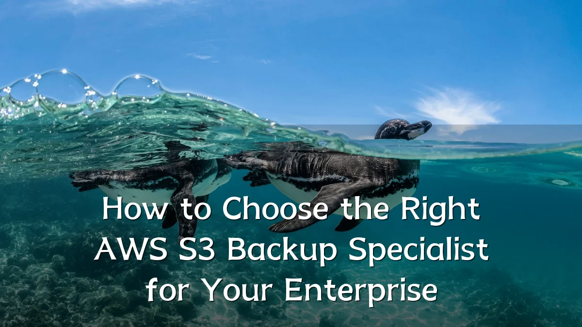 How to Choose the Right AWS S3 Backup Specialist for Your Enterprise