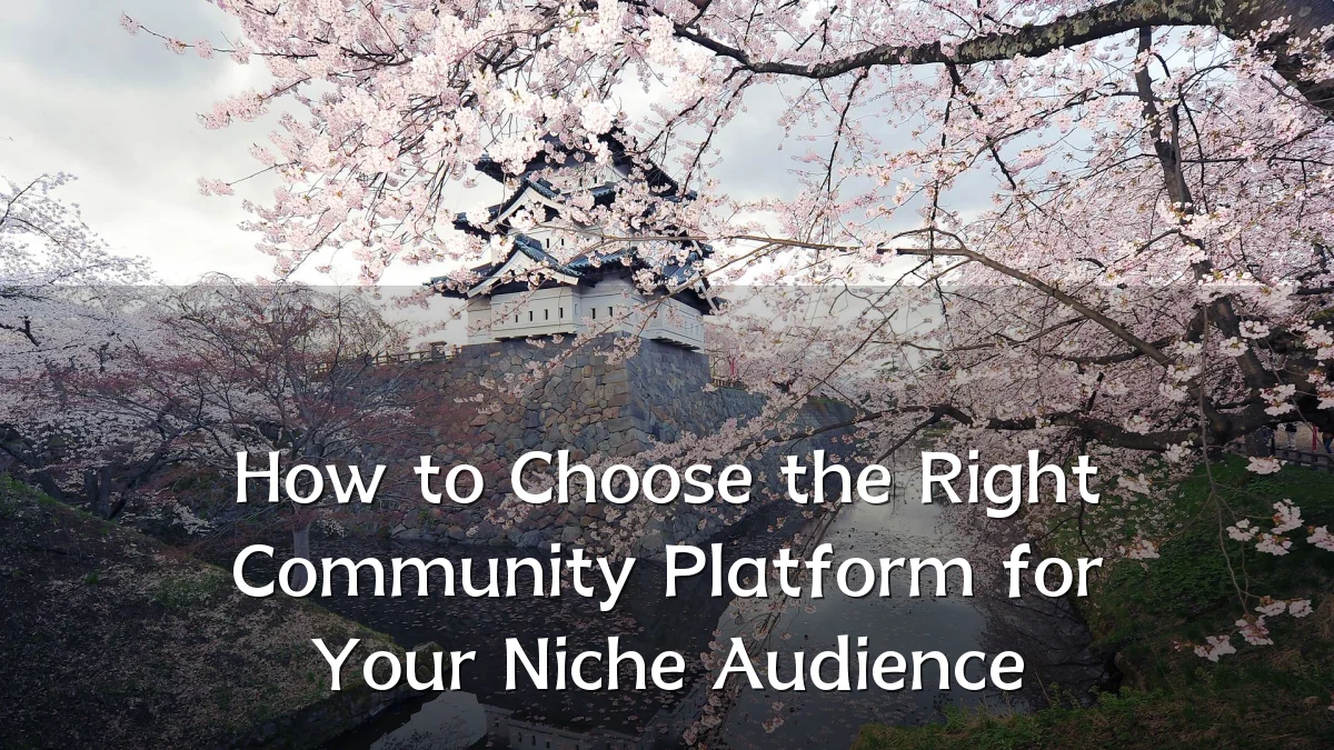 How to Choose the Right Community Platform for Your Niche Audience