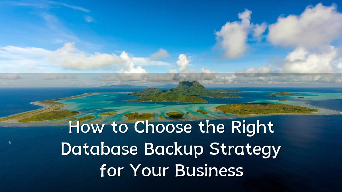 How to Choose the Right Database Backup Strategy for Your Business