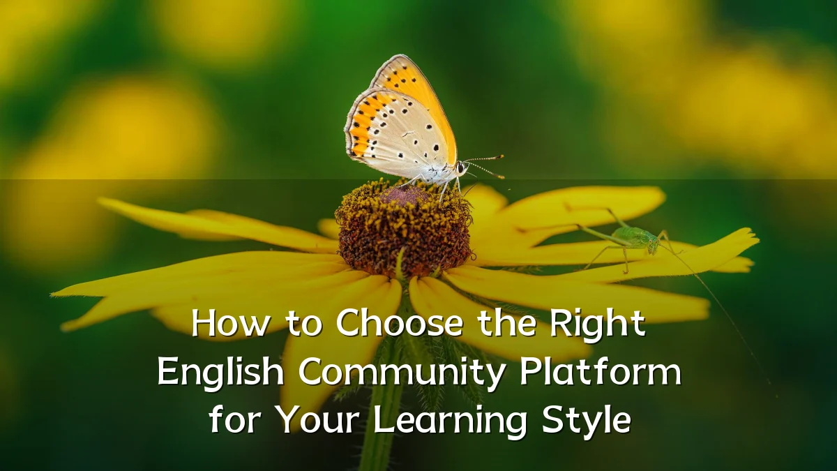 How to Choose the Right English Community Platform for Your Learning Style