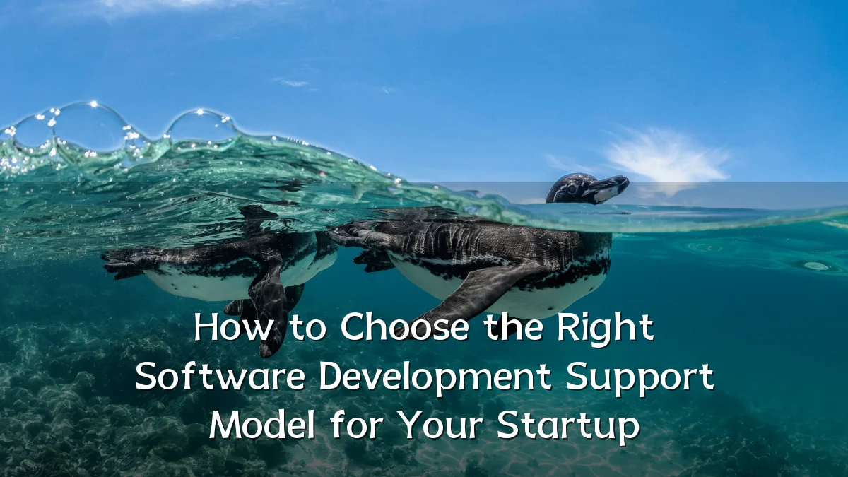 How to Choose the Right Software Development Support Model for Your Startup