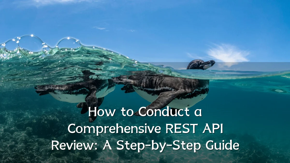 How to Conduct a Comprehensive REST API Review: A Step-by-Step Guide