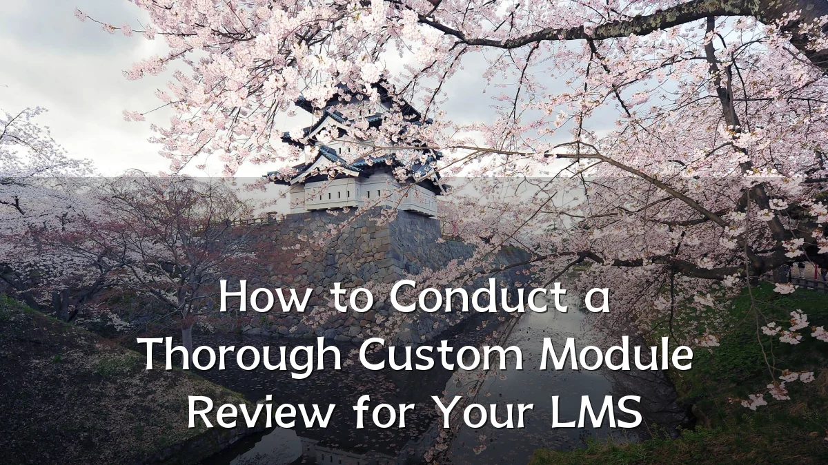 How to Conduct a Thorough Custom Module Review for Your LMS
