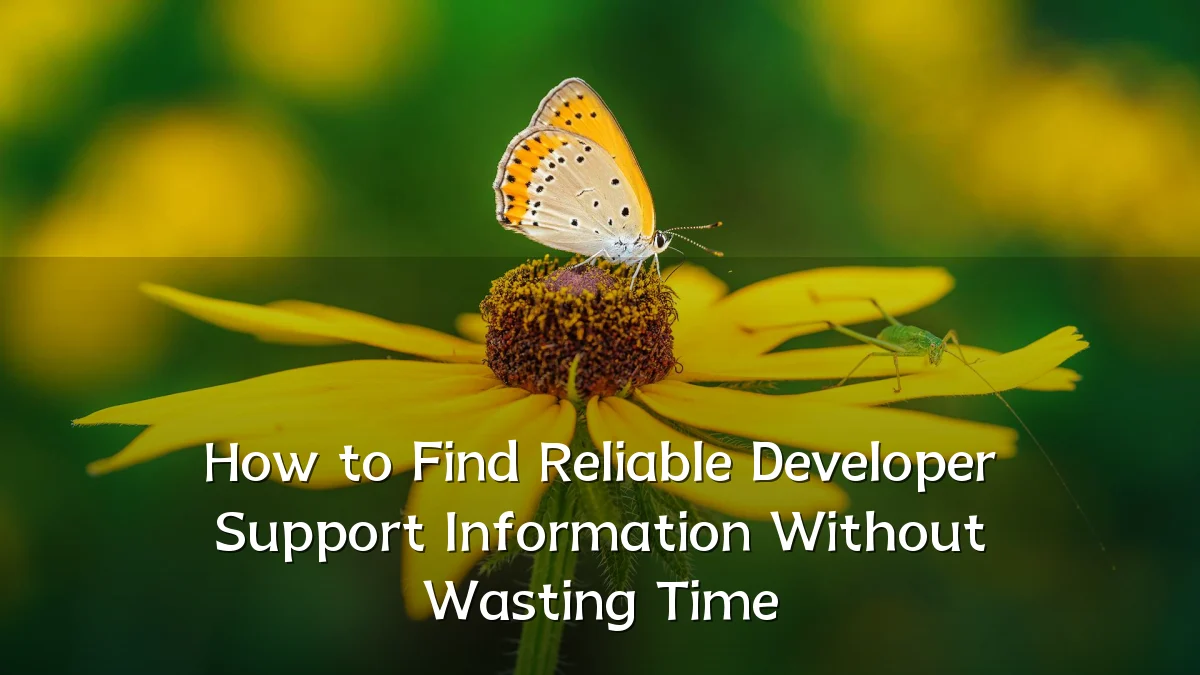 How to Find Reliable Developer Support Information Without Wasting Time