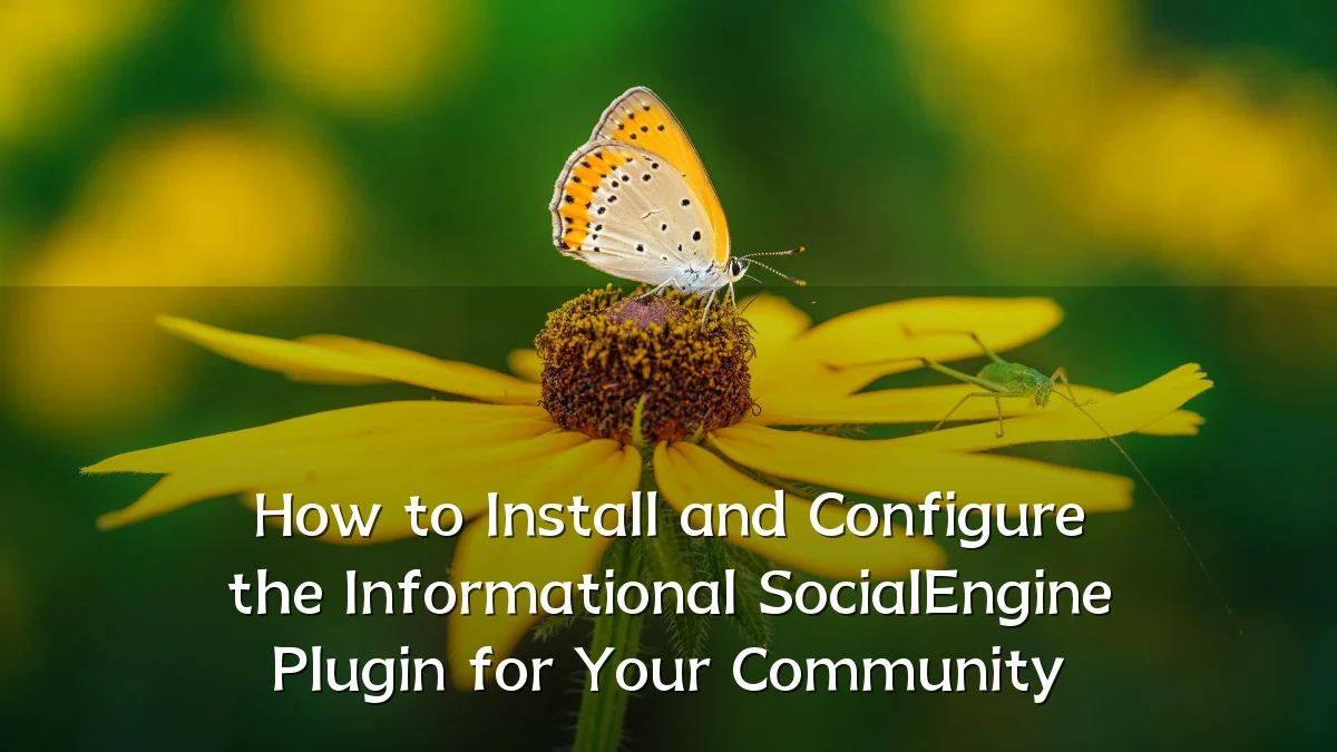 How to Install and Configure the Informational SocialEngine Plugin for Your Community