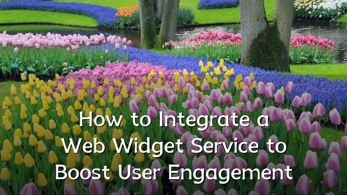 How to Integrate a Web Widget Service to Boost User Engagement
