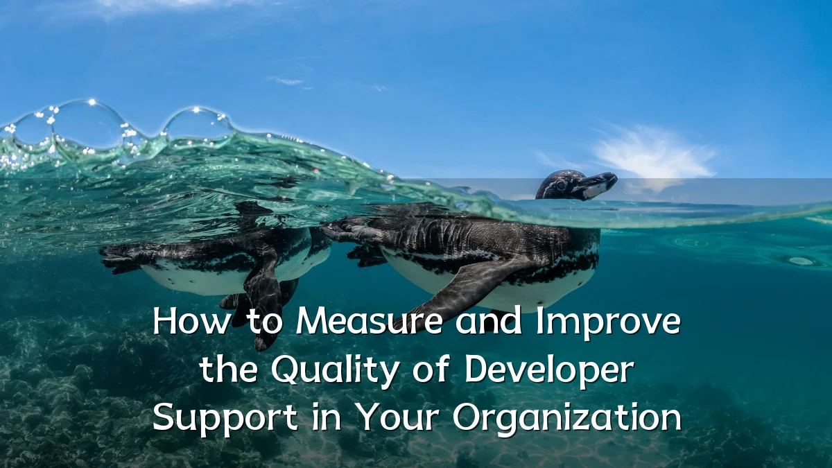 How to Measure and Improve the Quality of Developer Support in Your Organization