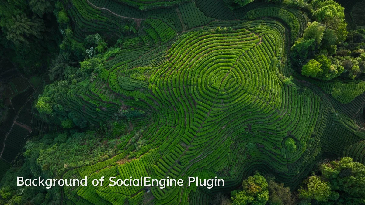 Background of SocialEngine Plugin