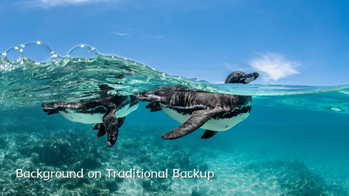 Background on Traditional Backup