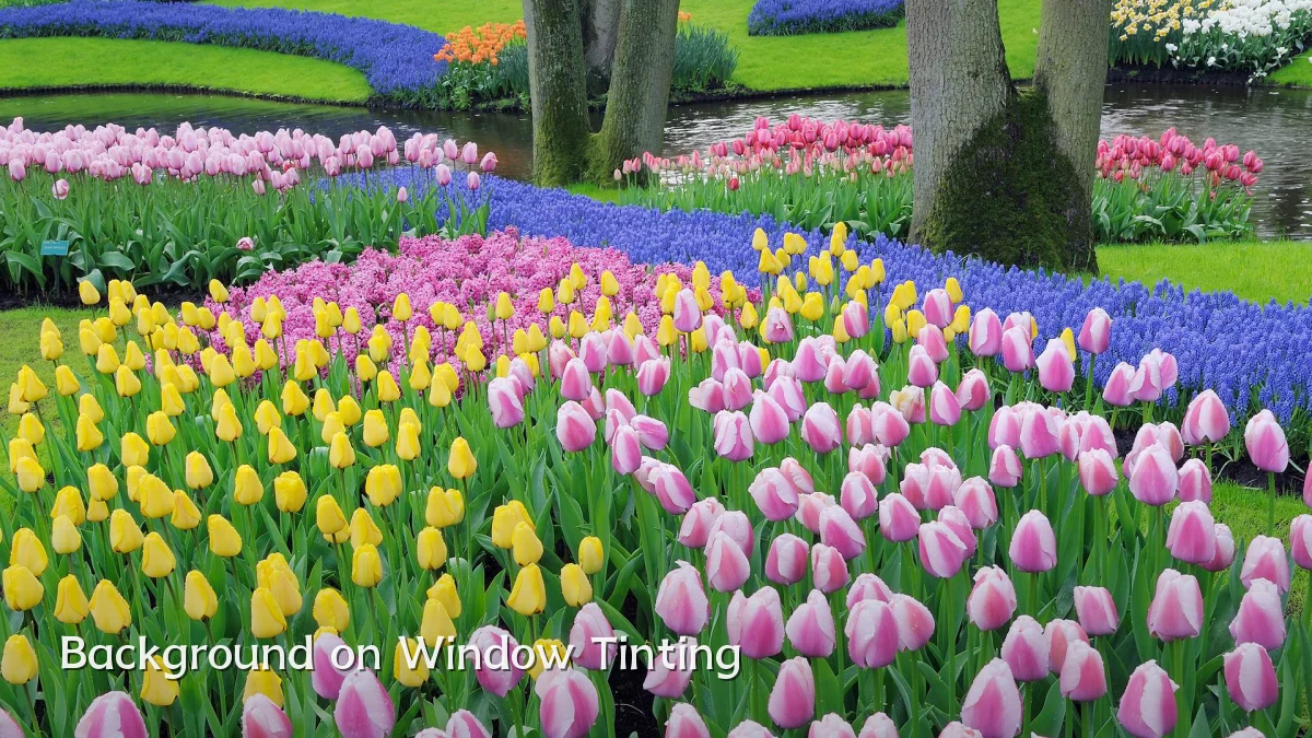Background on Window Tinting