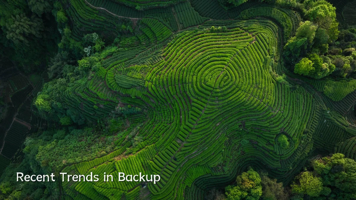 Recent Trends in Backup