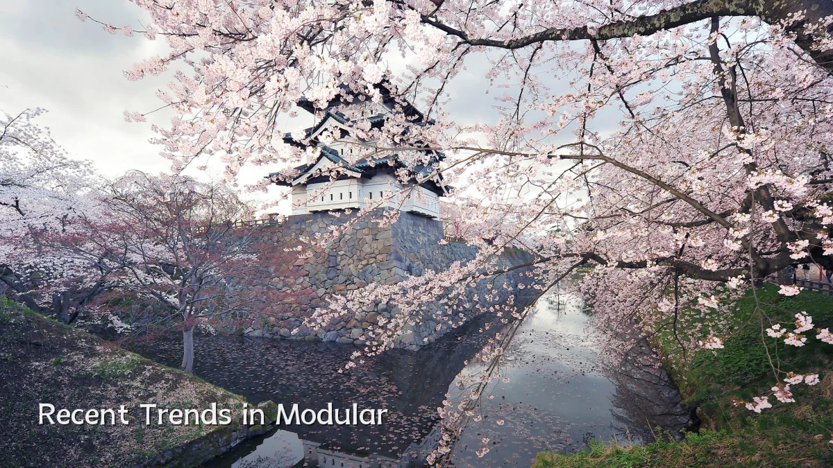 Recent Trends in Modular