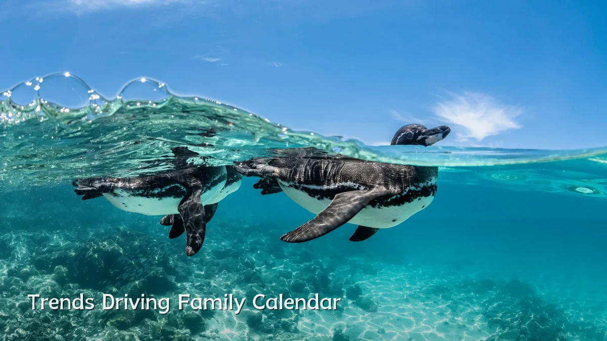 Trends Driving Family Calendar
