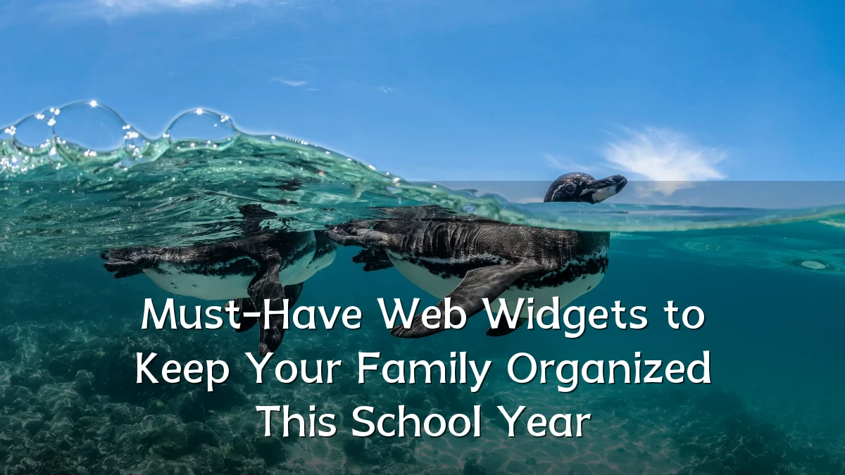 Must-Have Web Widgets to Keep Your Family Organized This School Year