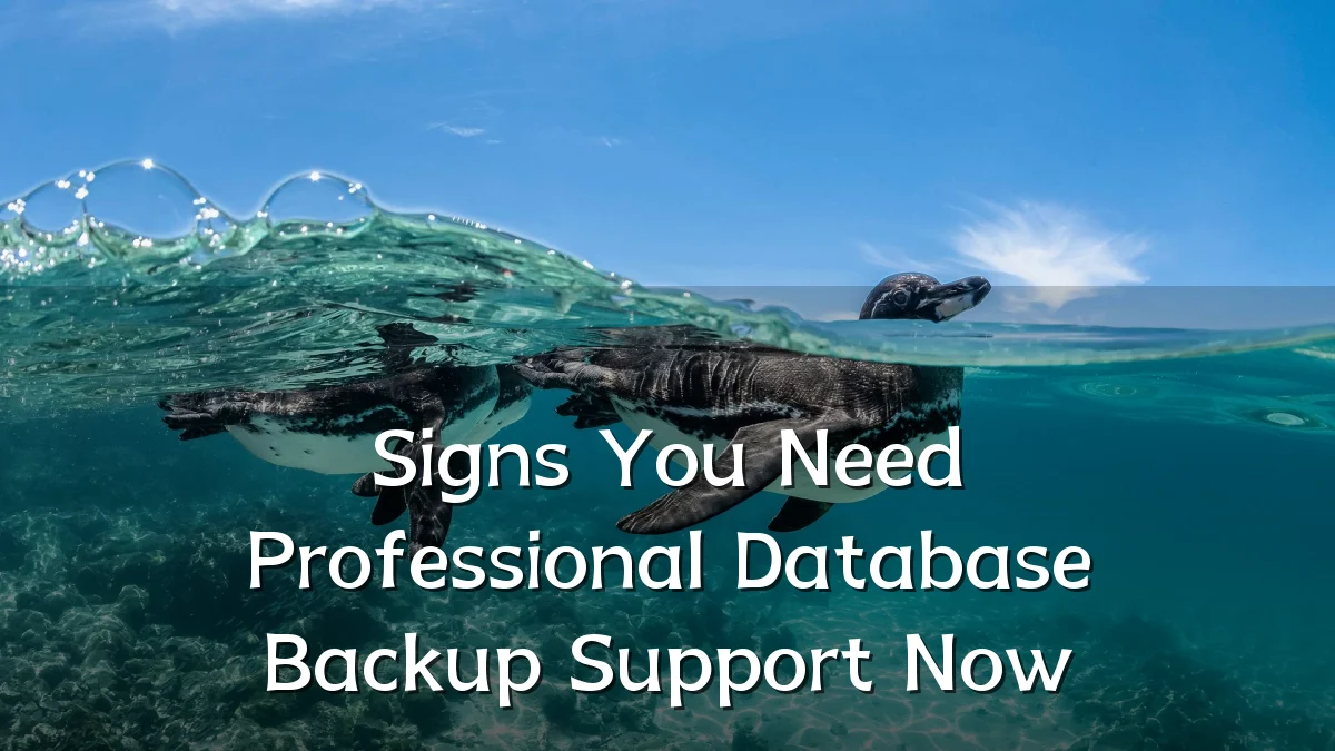 Signs You Need Professional Database Backup Support Now