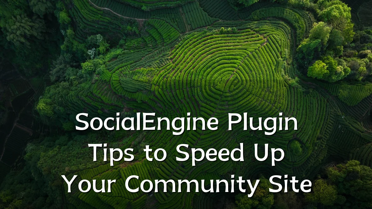 SocialEngine Plugin Tips to Speed Up Your Community Site