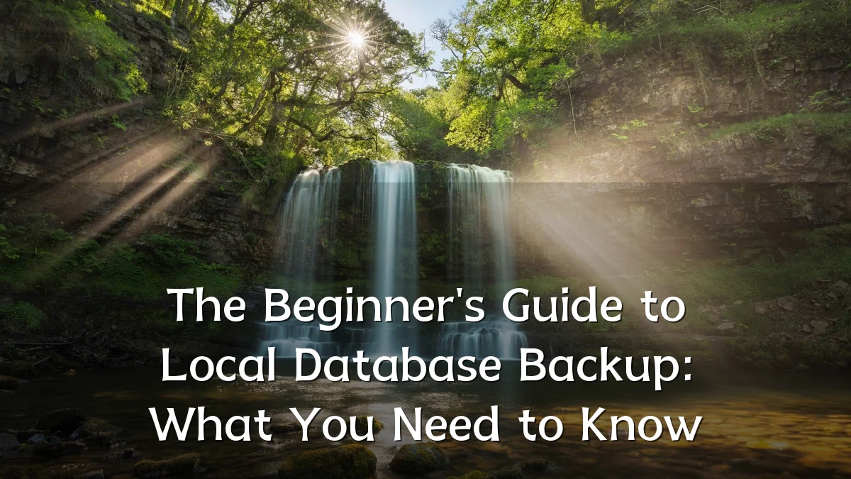 The Beginner's Guide to Local Database Backup: What You Need to Know