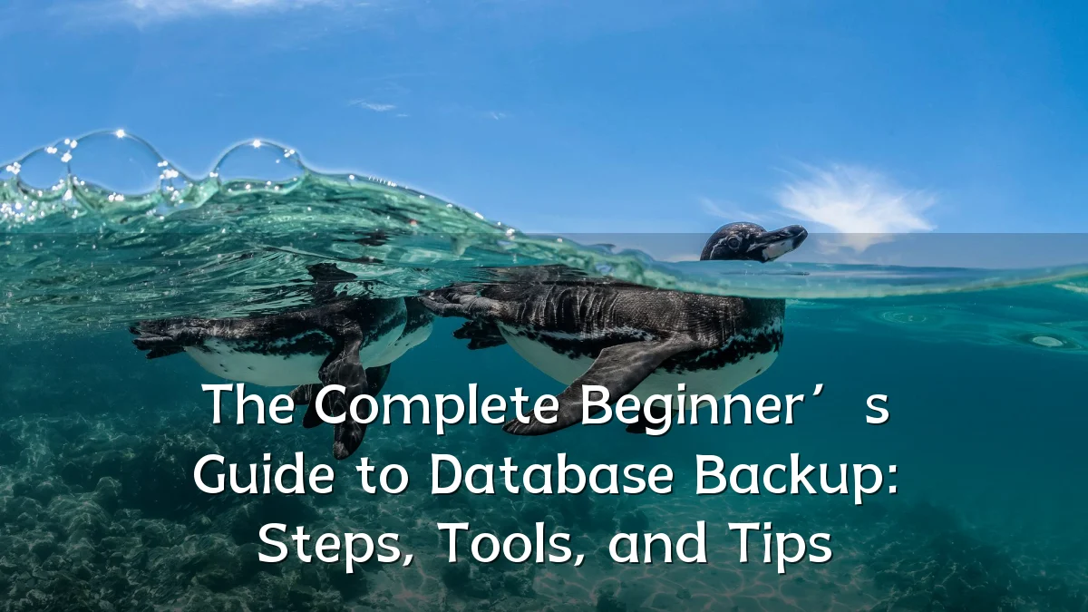 The Complete Beginner’s Guide to Database Backup: Steps, Tools, and Tips