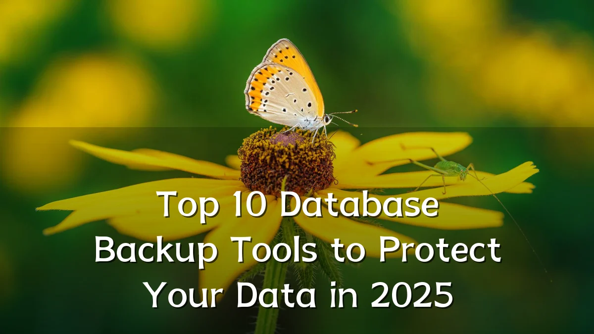 Top 10 Database Backup Tools to Protect Your Data in 2025