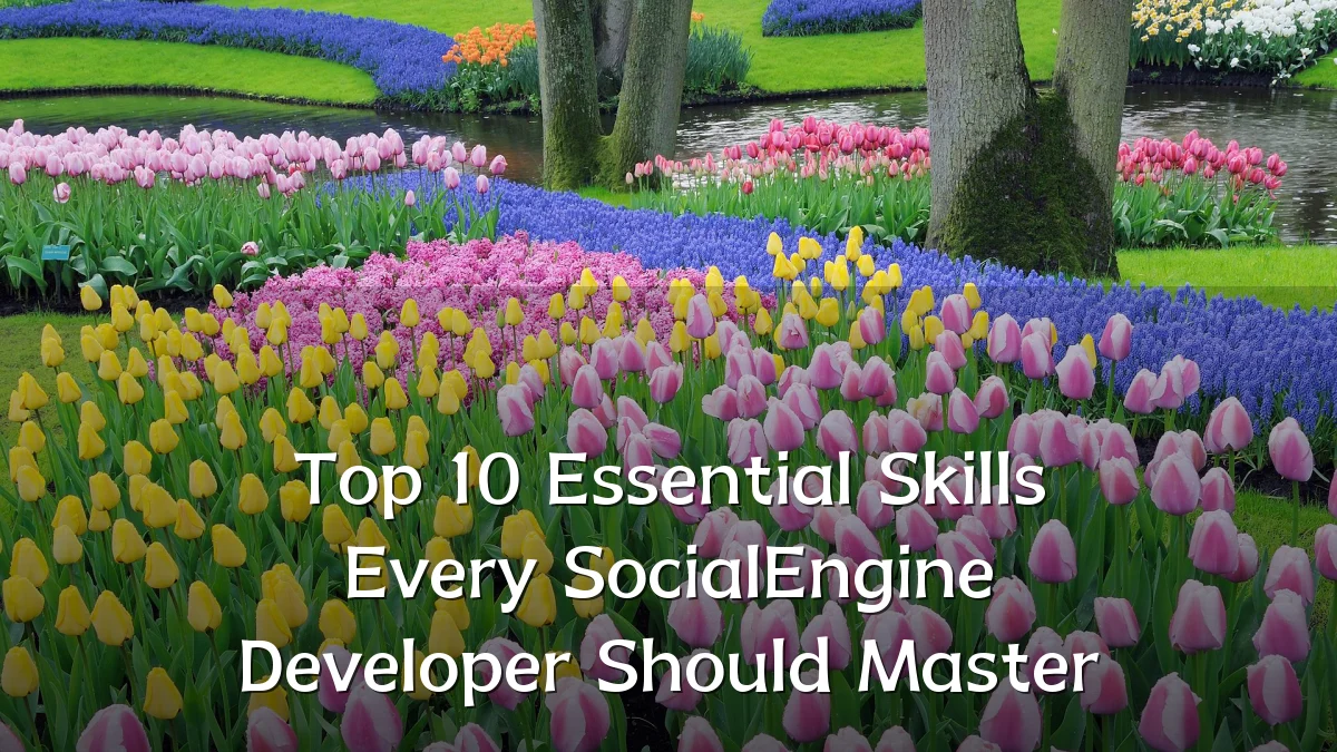 Top 10 Essential Skills Every SocialEngine Developer Should Master