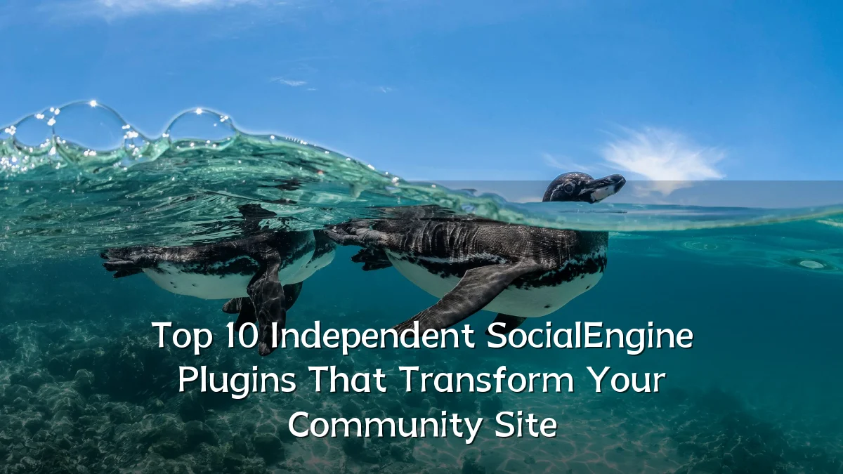 Top 10 Independent SocialEngine Plugins That Transform Your Community Site