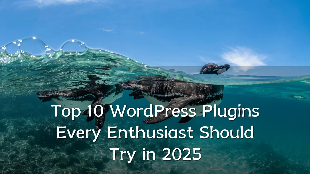 Top 10 WordPress Plugins Every Enthusiast Should Try in 2025