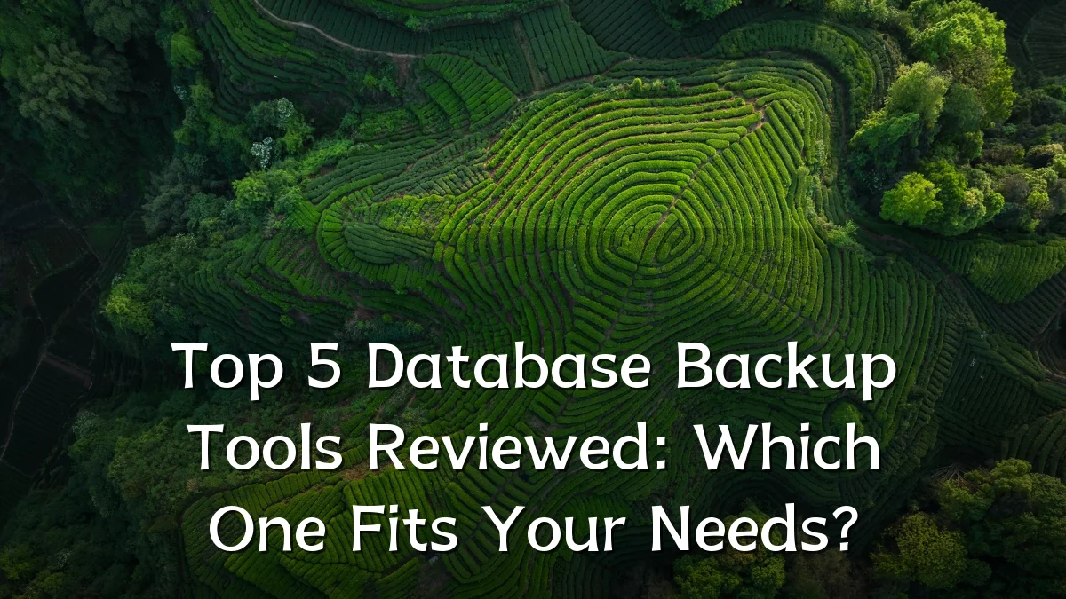 Top 5 Database Backup Tools Reviewed: Which One Fits Your Needs?
