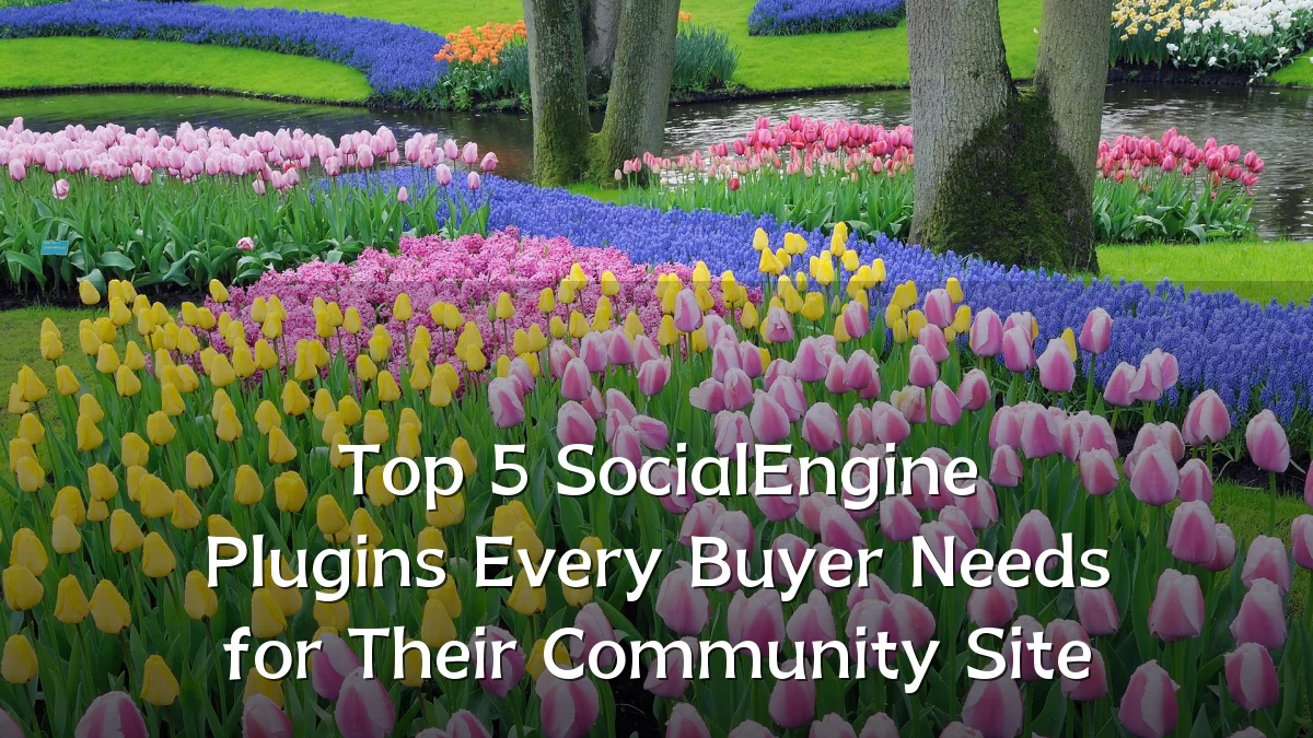 Top 5 SocialEngine Plugins Every Buyer Needs for Their Community Site