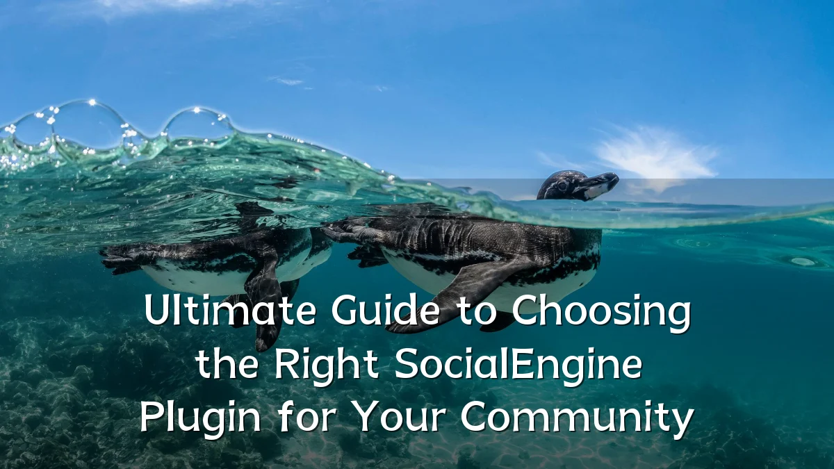 Ultimate Guide to Choosing the Right SocialEngine Plugin for Your Community
