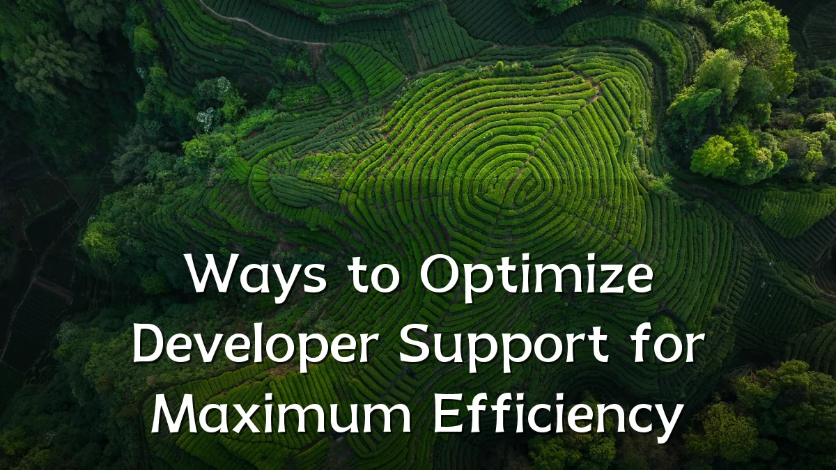 Ways to Optimize Developer Support for Maximum Efficiency