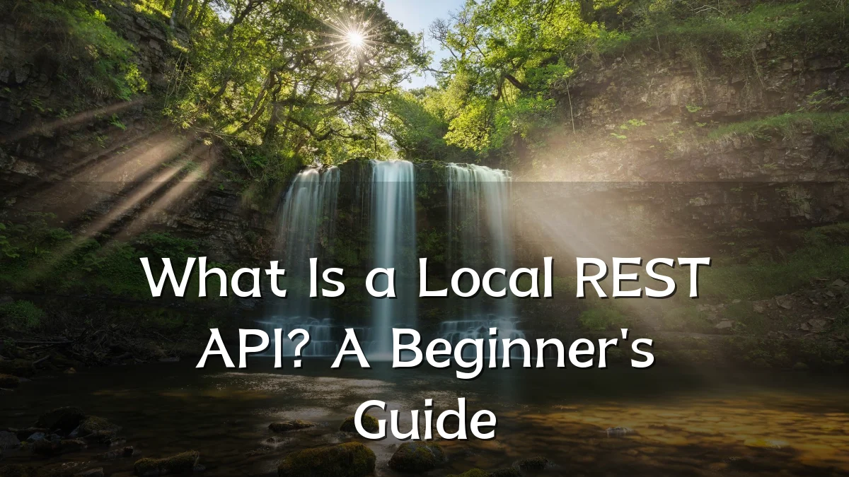 What Is a Local REST API? A Beginner's Guide