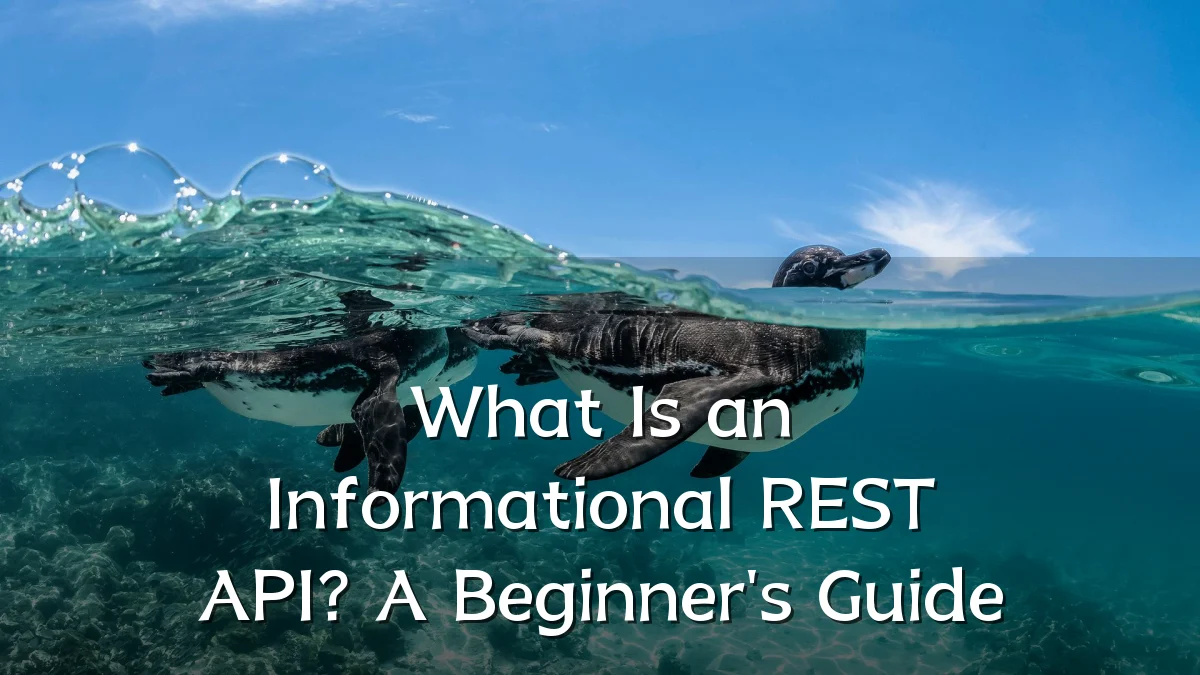 What Is an Informational REST API? A Beginner's Guide
