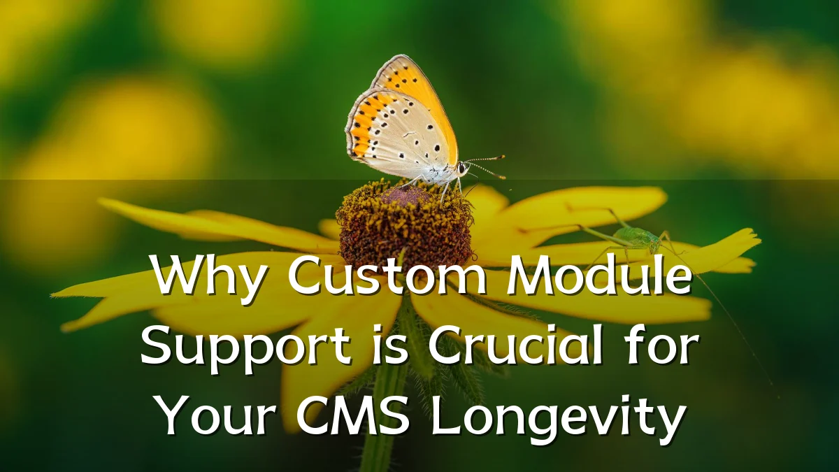 Why Custom Module Support is Crucial for Your CMS Longevity