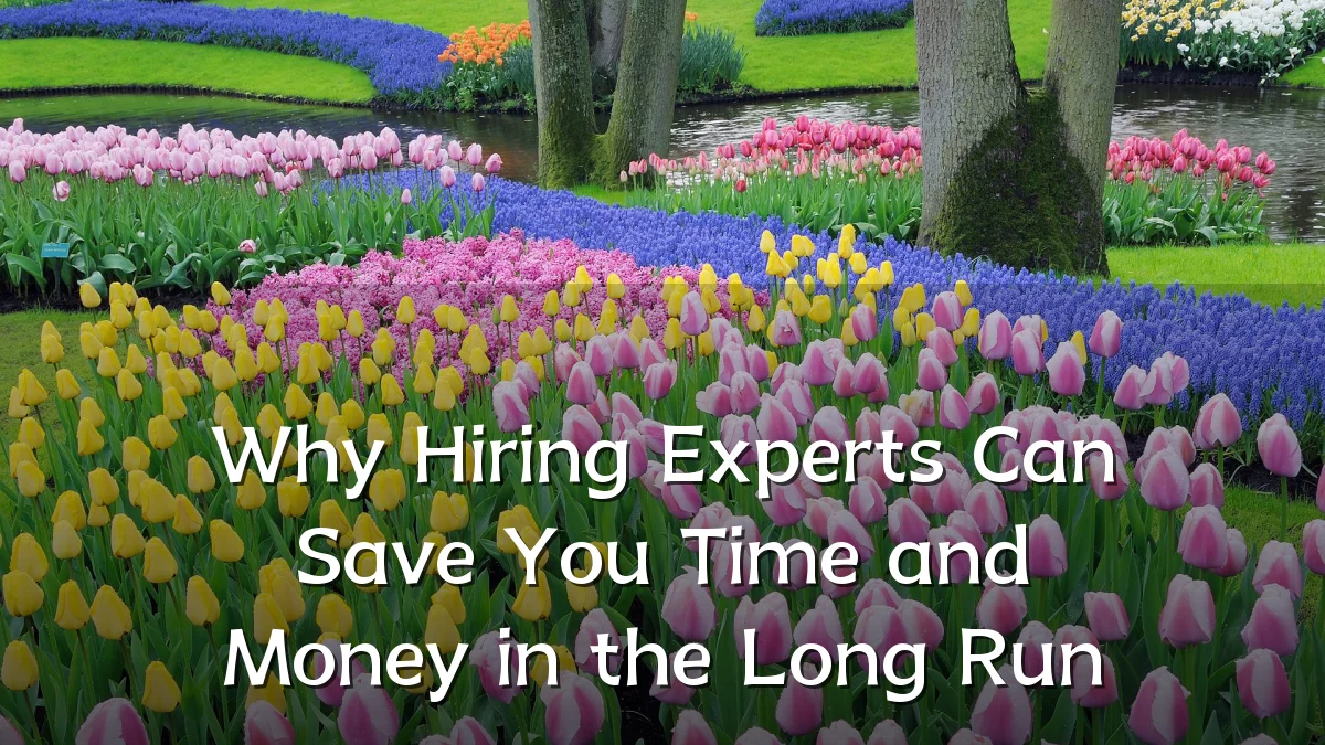 Why Hiring Experts Can Save You Time and Money in the Long Run