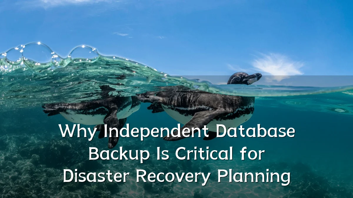 Why Independent Database Backup Is Critical for Disaster Recovery Planning