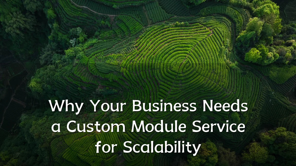 Why Your Business Needs a Custom Module Service for Scalability
