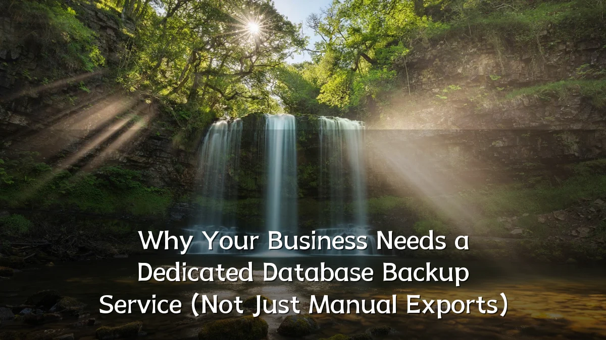 Why Your Business Needs a Dedicated Database Backup Service (Not Just Manual Exports)