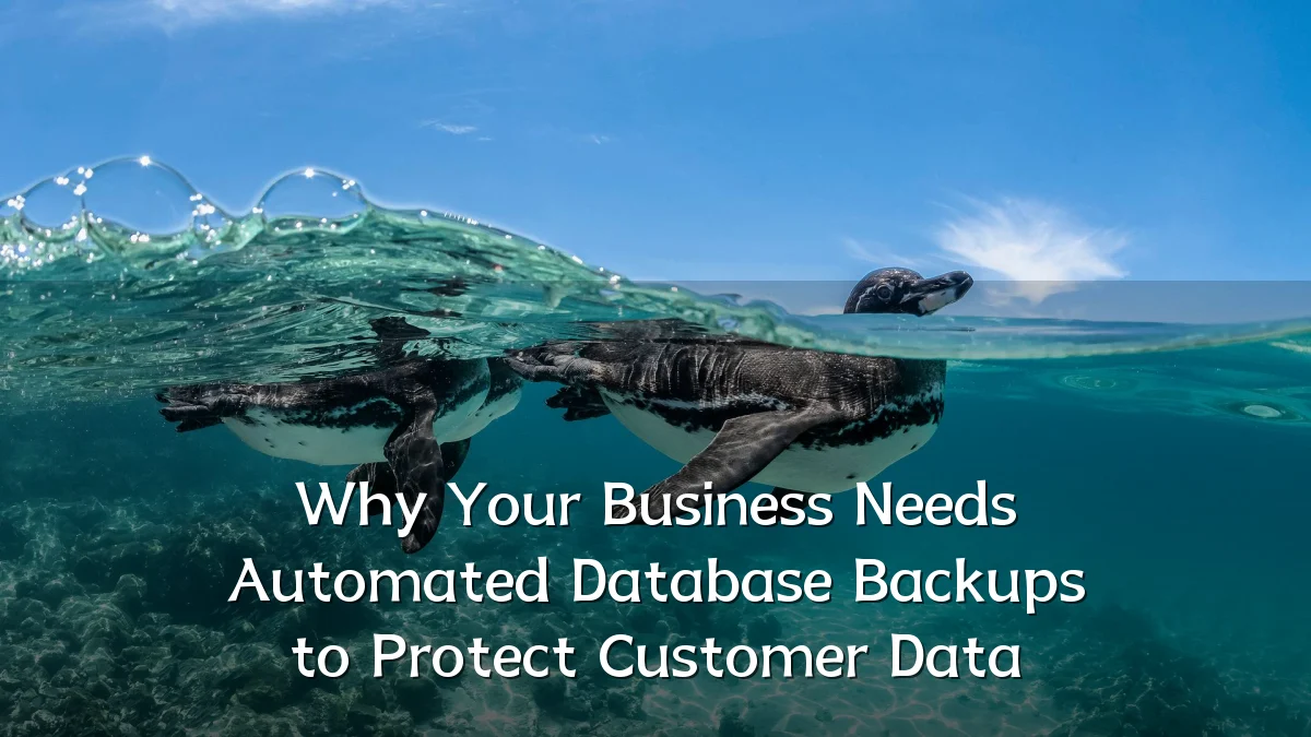 Why Your Business Needs Automated Database Backups to Protect Customer Data